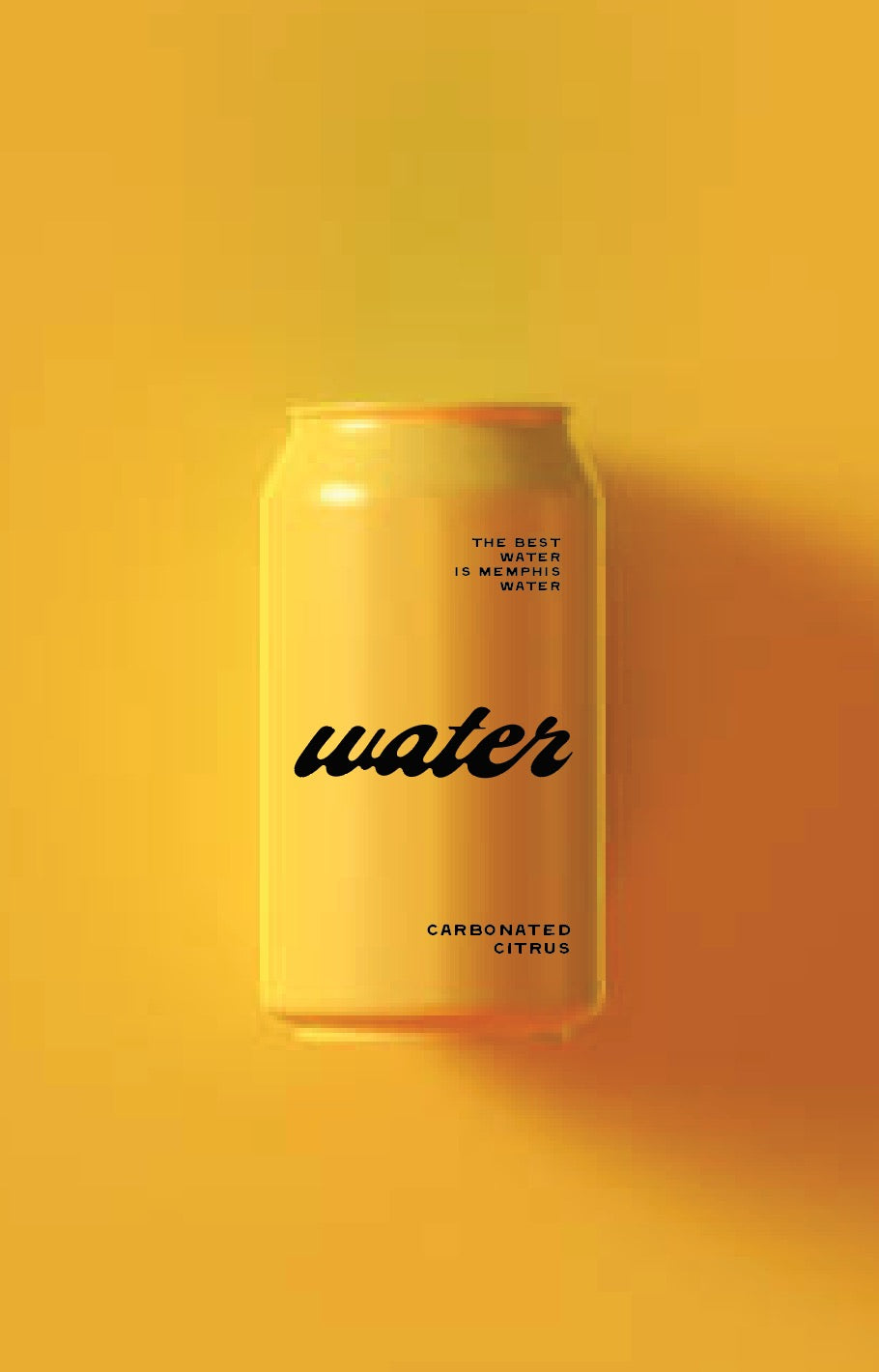 Carbonated Citrus Memphis Water 4 pack